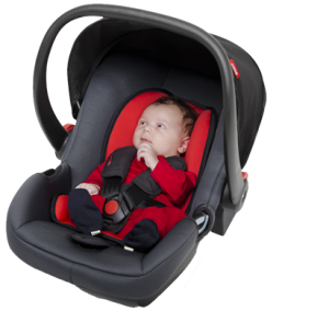 phil & teds carrycot