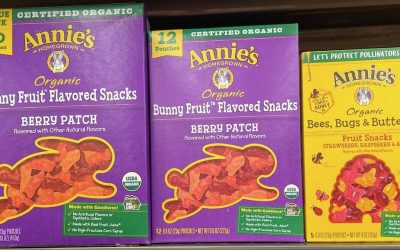 Best Organic Fruit Snacks